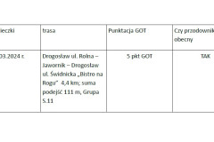 Zrzut-ekranu-2025-03-11-210351