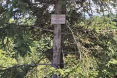 IMG-20250817-WA0001