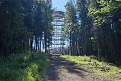 IMG-20250817-WA0017