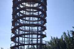 IMG-20250817-WA0020