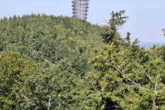 IMG-20250817-WA0035