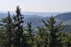IMG-20250817-WA0037