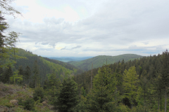 DSCN0597