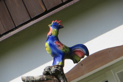 IMG_7791
