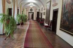 IMG-20250517-WA0012