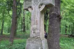 IMG-20250517-WA0022