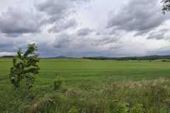 IMG-20250517-WA0029