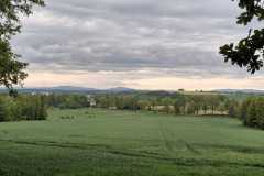 IMG-20250517-WA0041
