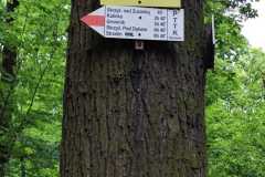 IMG-20250517-WA0055