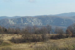 IMG_8393