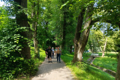 IMG_20250621_151045_452