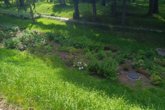 IMG_20250621_151317_637