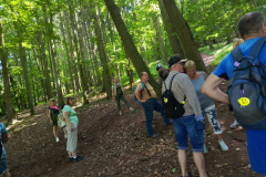 IMG_20250621_153301_139