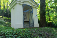 IMG_20250621_172530_126