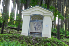 IMG_20250621_173126_081