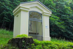 IMG_20250621_173514_131