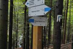 IMG-20250530-WA0226