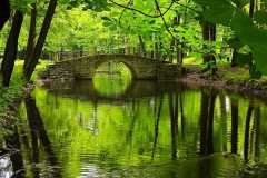 IMG-20250530-WA0279