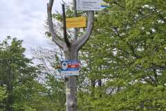 Zdjecie-WhatsApp-2025-05-31-o-21.24.33_6b882061