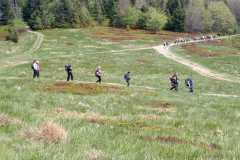 IMG-20250530-WA0334