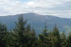 IMG-20250530-WA0340