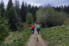 IMG-20250530-WA0347