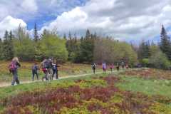 IMG-20250530-WA0349