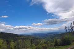 IMG-20250530-WA0384