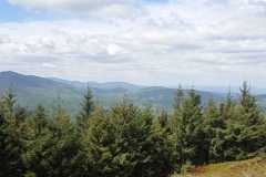 IMG-20250530-WA0401