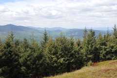IMG-20250530-WA0404