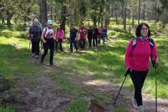 IMG-20250530-WA0409