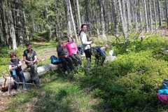 IMG-20250530-WA0414