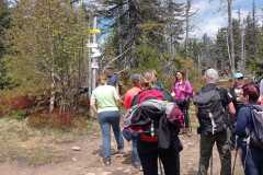 IMG-20250530-WA0419