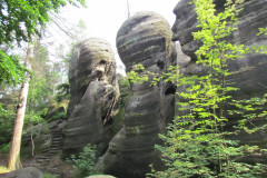 IMG_7840