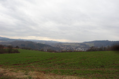 DSC03171
