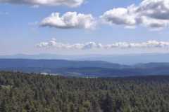 IMG-20250501-WA0049