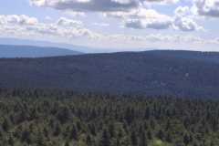 IMG-20250501-WA0050
