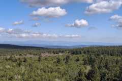 IMG-20250501-WA0051