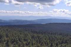 IMG-20250501-WA0052