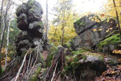 DSCN0243