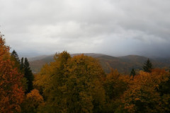 DSCN0250