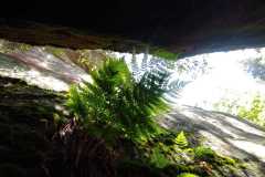IMG-20250614-WA0035