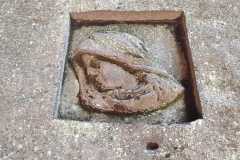 IMG-20250614-WA0037