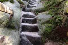 IMG-20250614-WA0038