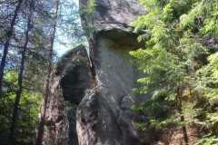 IMG-20250614-WA0217
