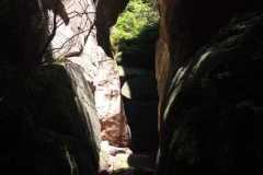 IMG-20250614-WA0219