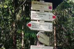IMG-20250614-WA0230