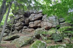IMG_20250607_105040