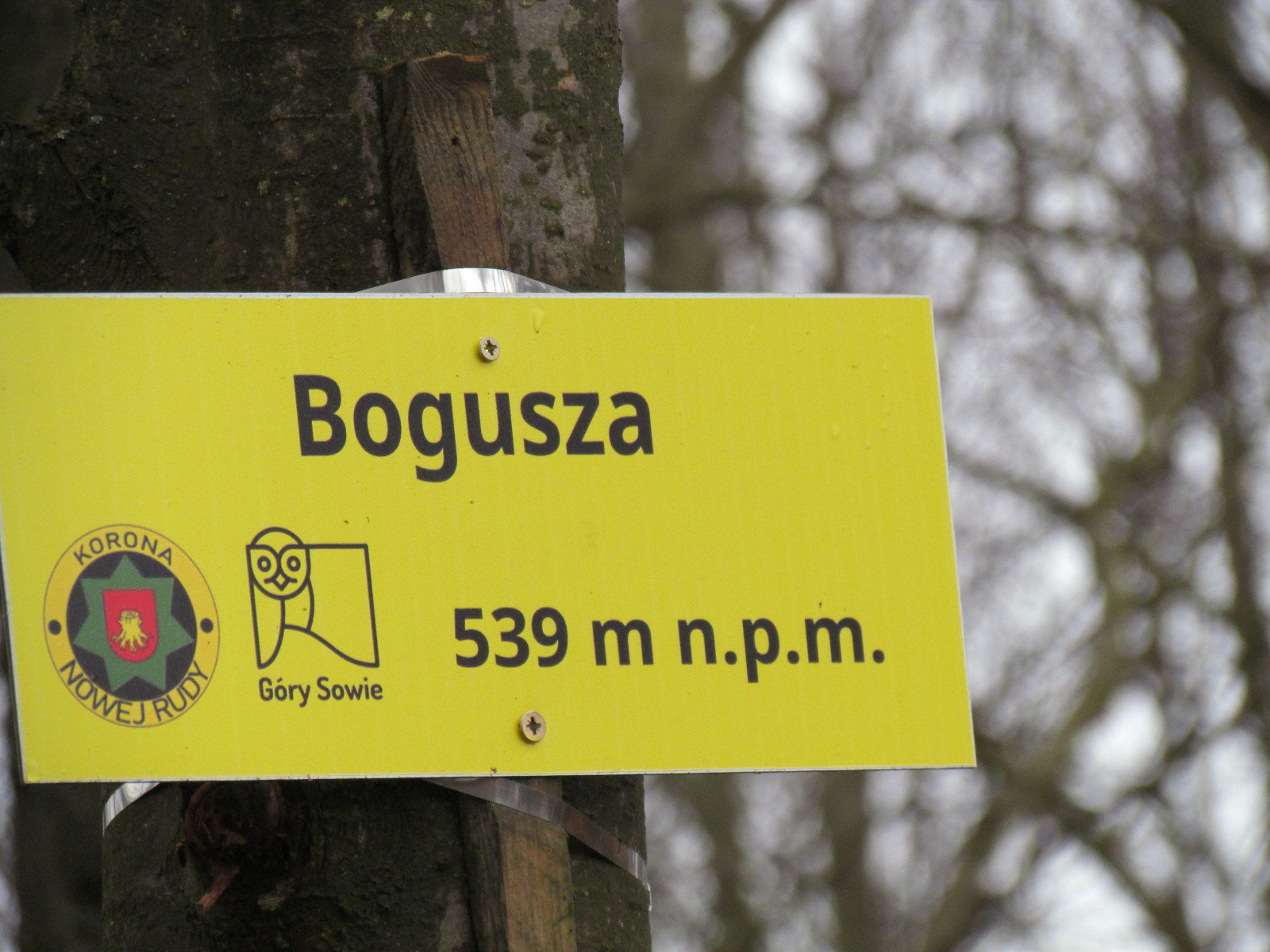 Zdjęcie z relacji: IV Spacer zimowy