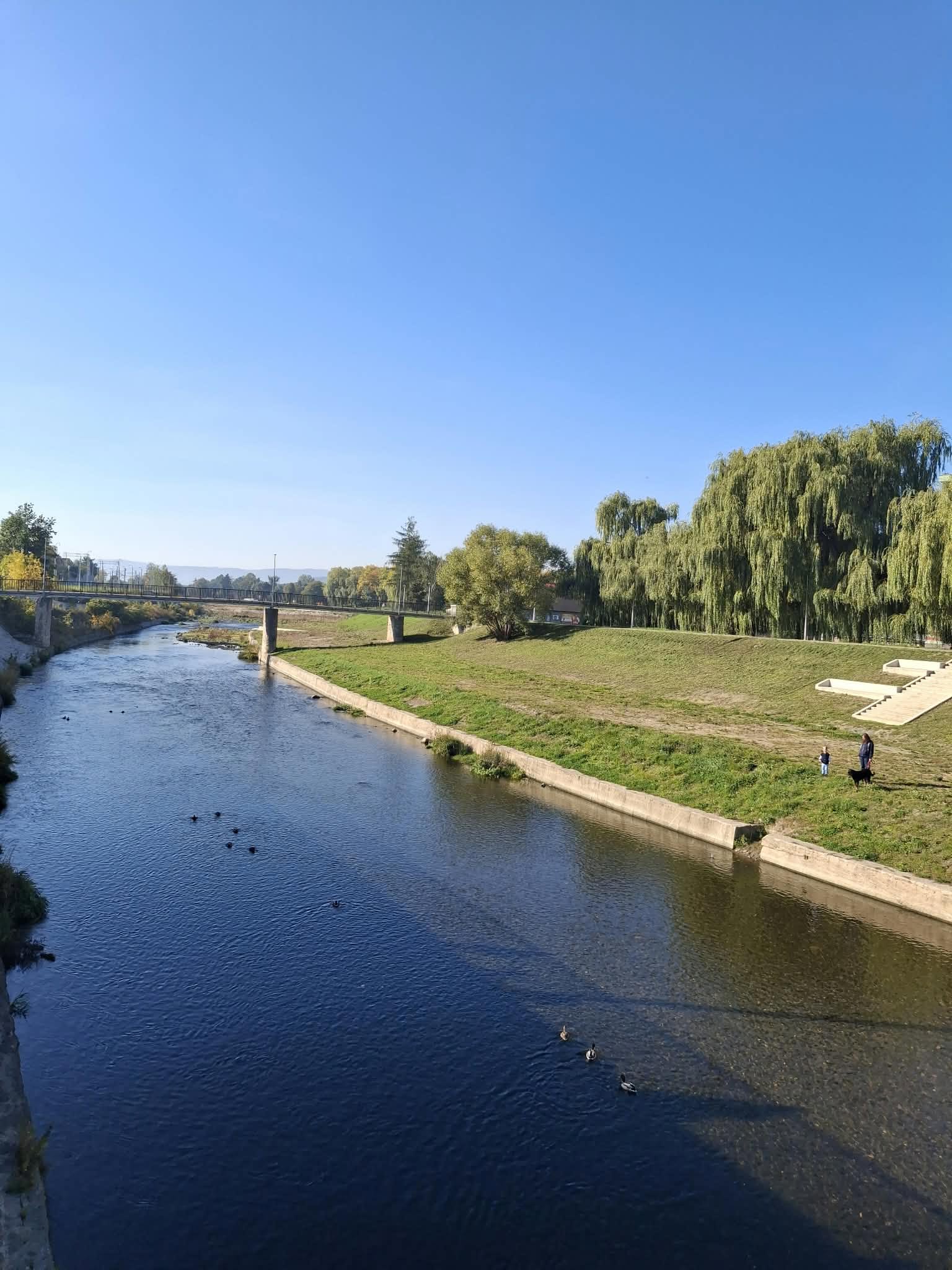50. Rajd Kartofelek, 3 października 2026 - zdjęcie 15